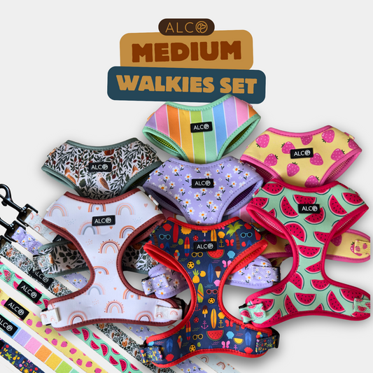 MEDIUM Alco Walkies: Harness and Leash Set