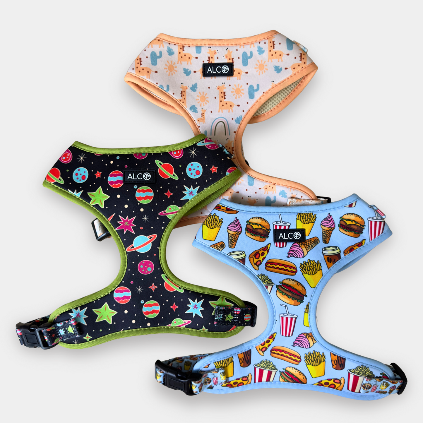 LARGE Alco Walkies: Harness and Leash Set