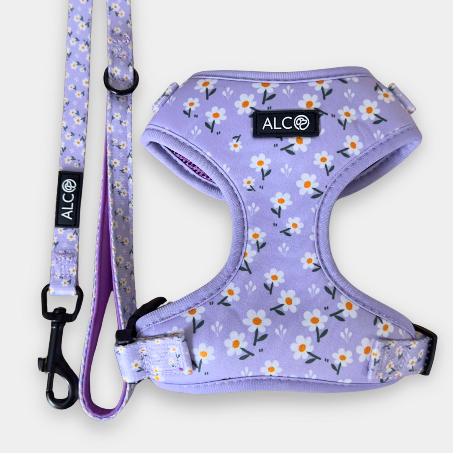 EXTRA SMALL Alco Walkies: Harness and Leash Set
