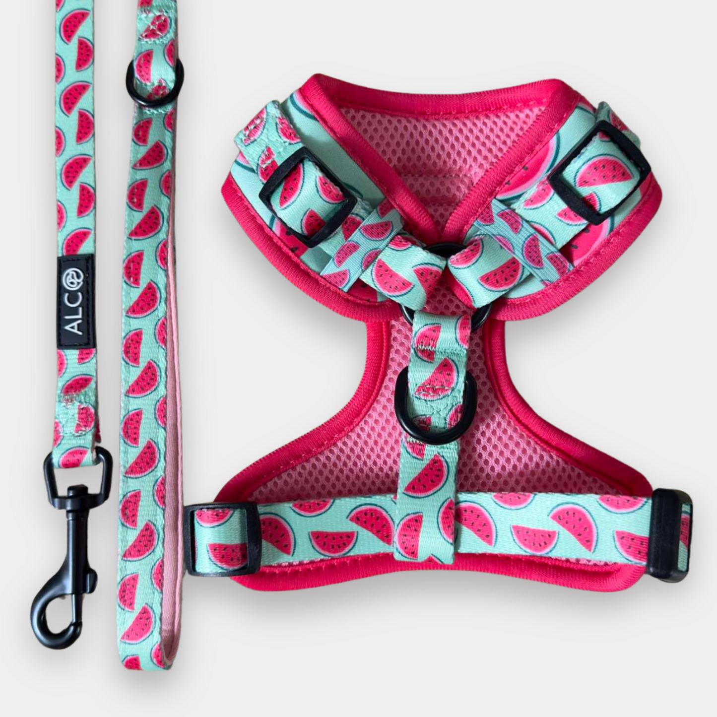 EXTRA SMALL Alco Walkies: Harness and Leash Set