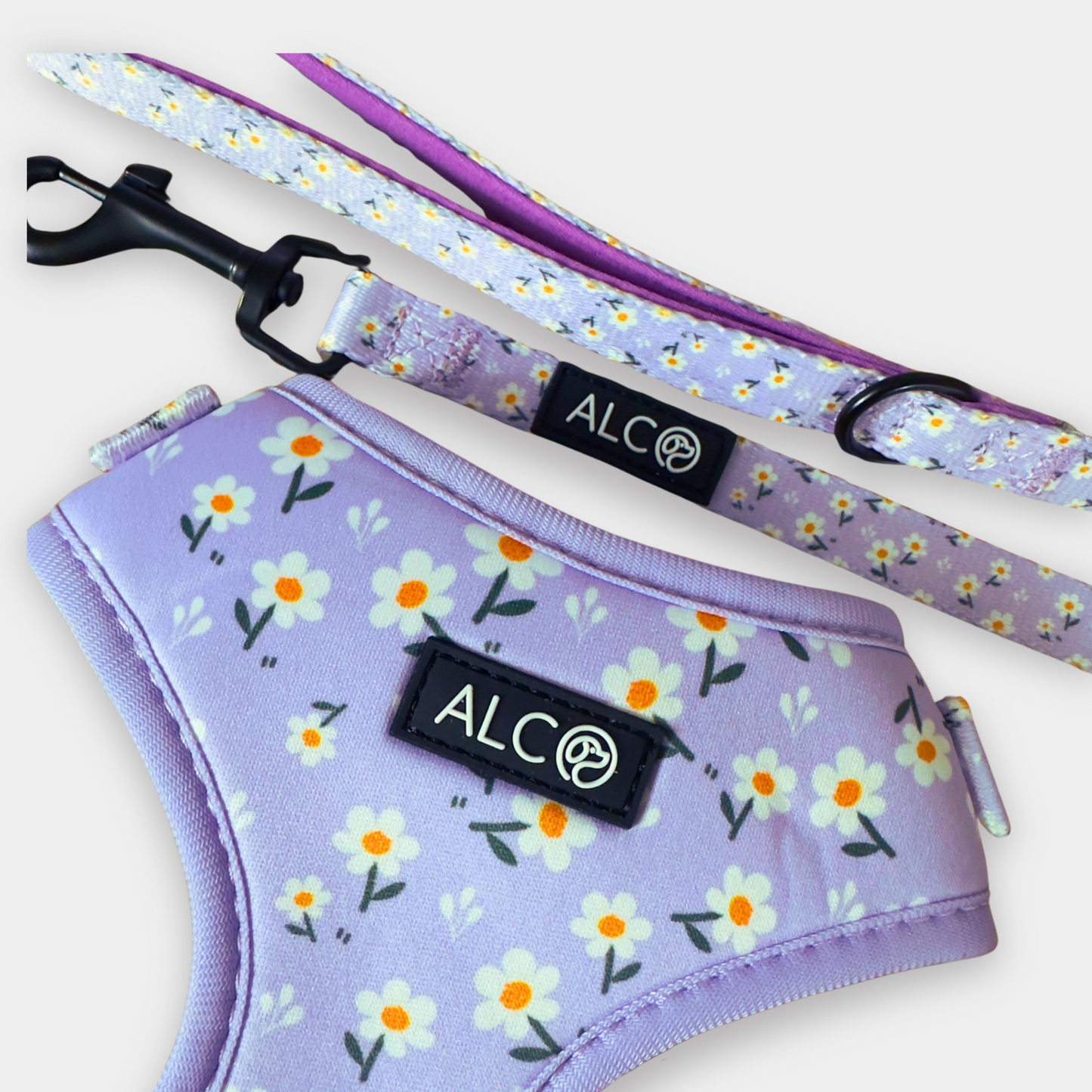 EXTRA SMALL Alco Walkies: Harness and Leash Set