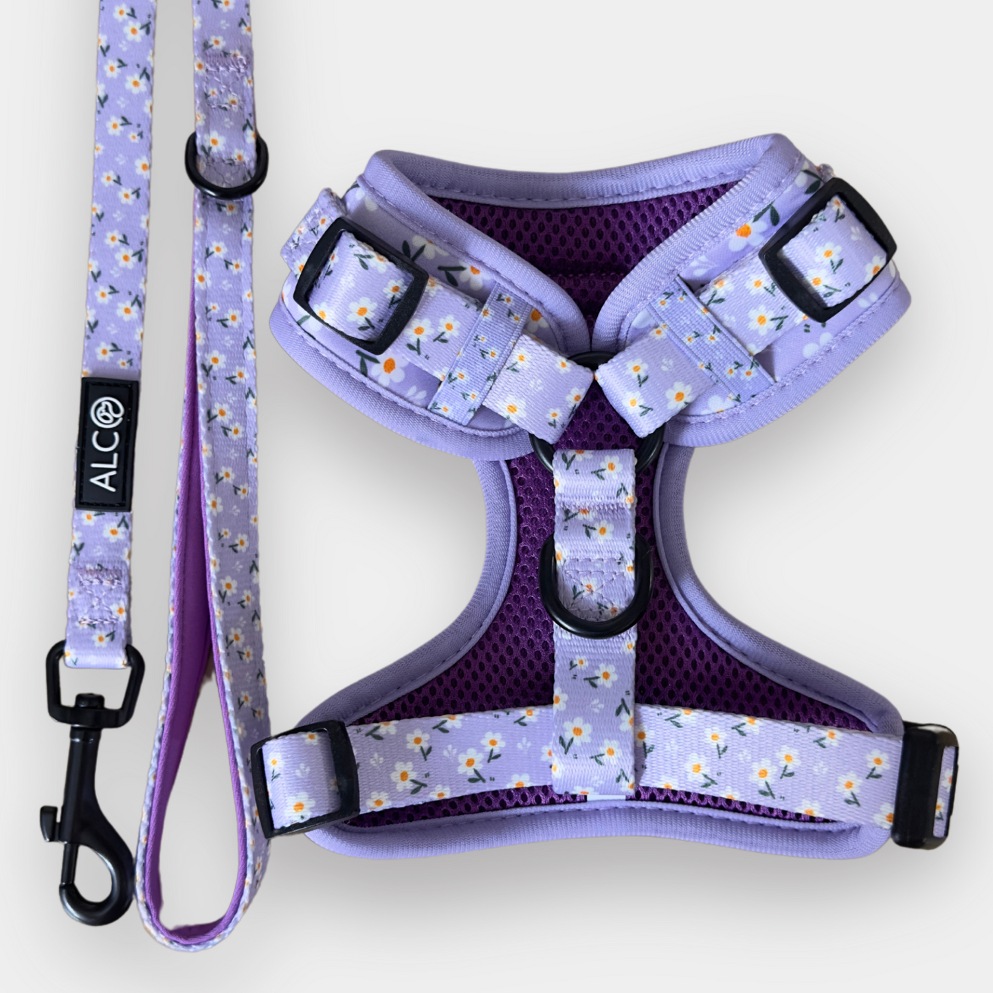 EXTRA SMALL Alco Walkies: Harness and Leash Set