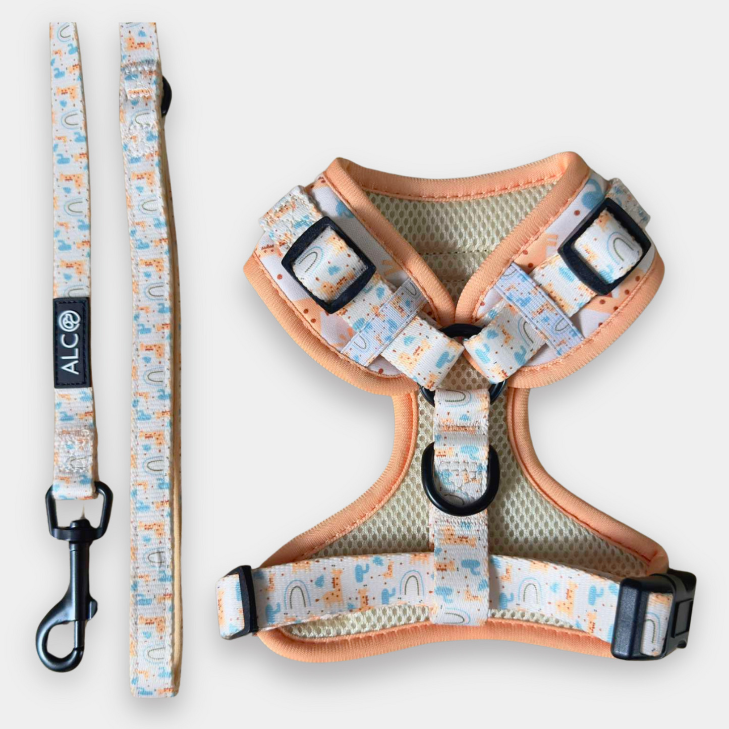 EXTRA SMALL Alco Walkies: Harness and Leash Set