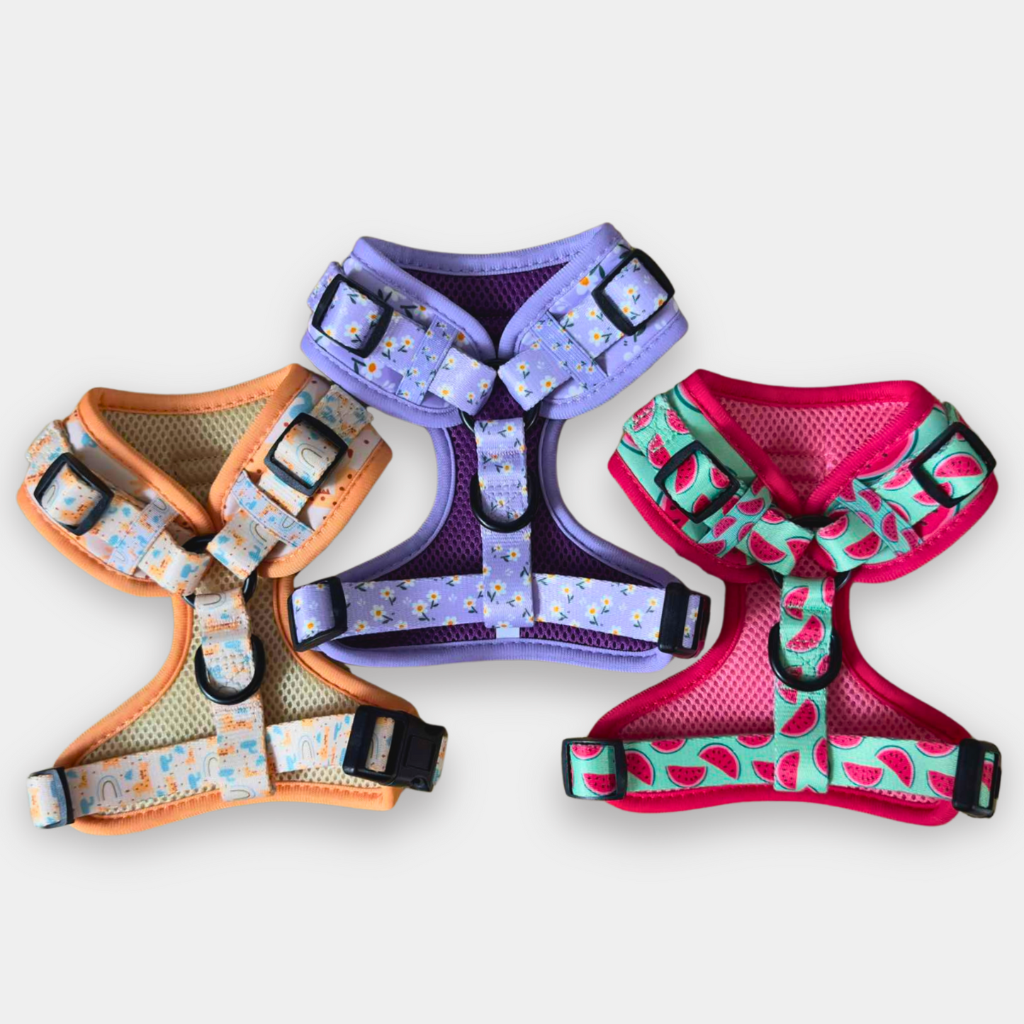 EXTRA SMALL Alco Walkies: Harness and Leash Set
