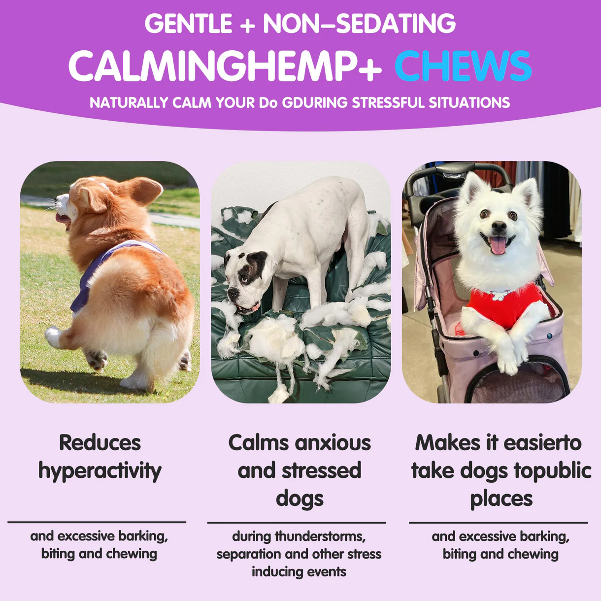 Worafy Hemp Calming Chews (300g, 120 pcs)