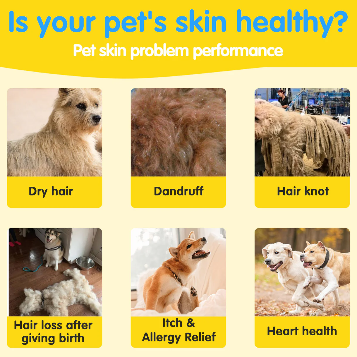 Worafy Skin & Coat Omega Treats (300g, 120 pcs)