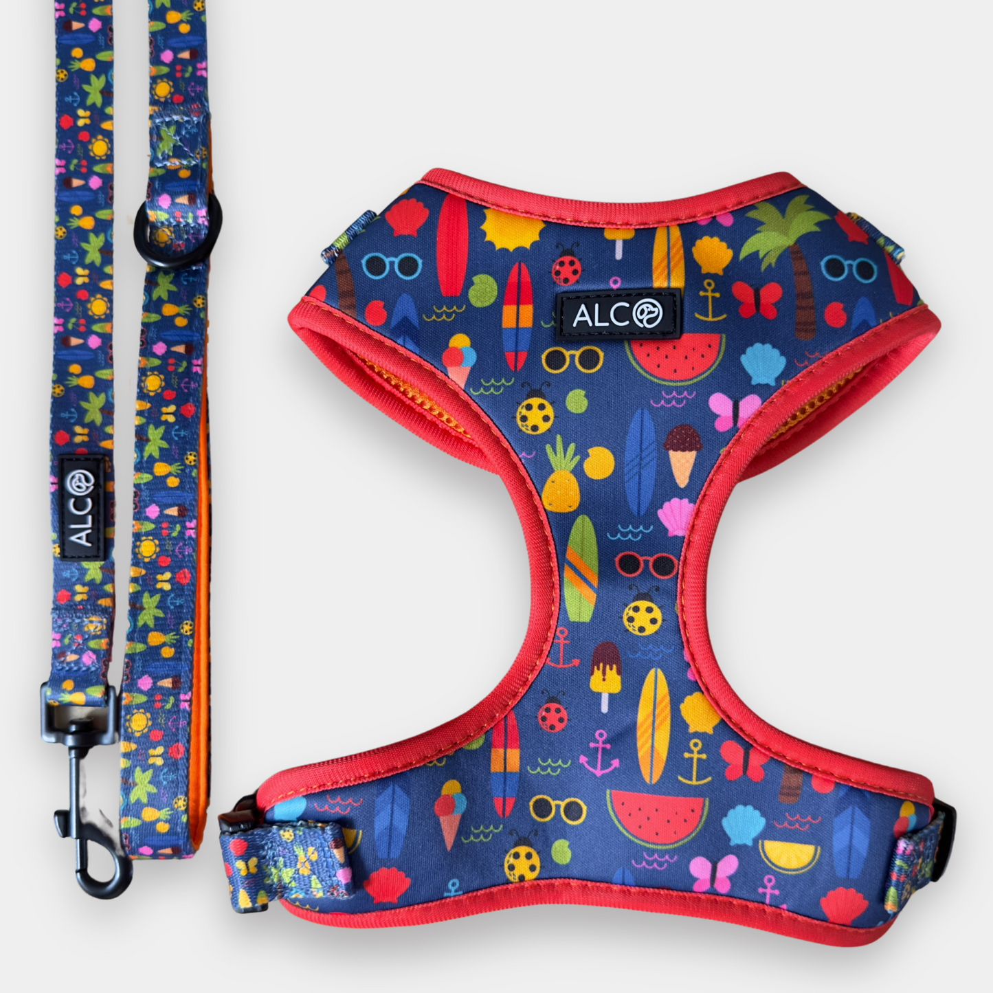 MEDIUM Alco Walkies: Harness and Leash Set