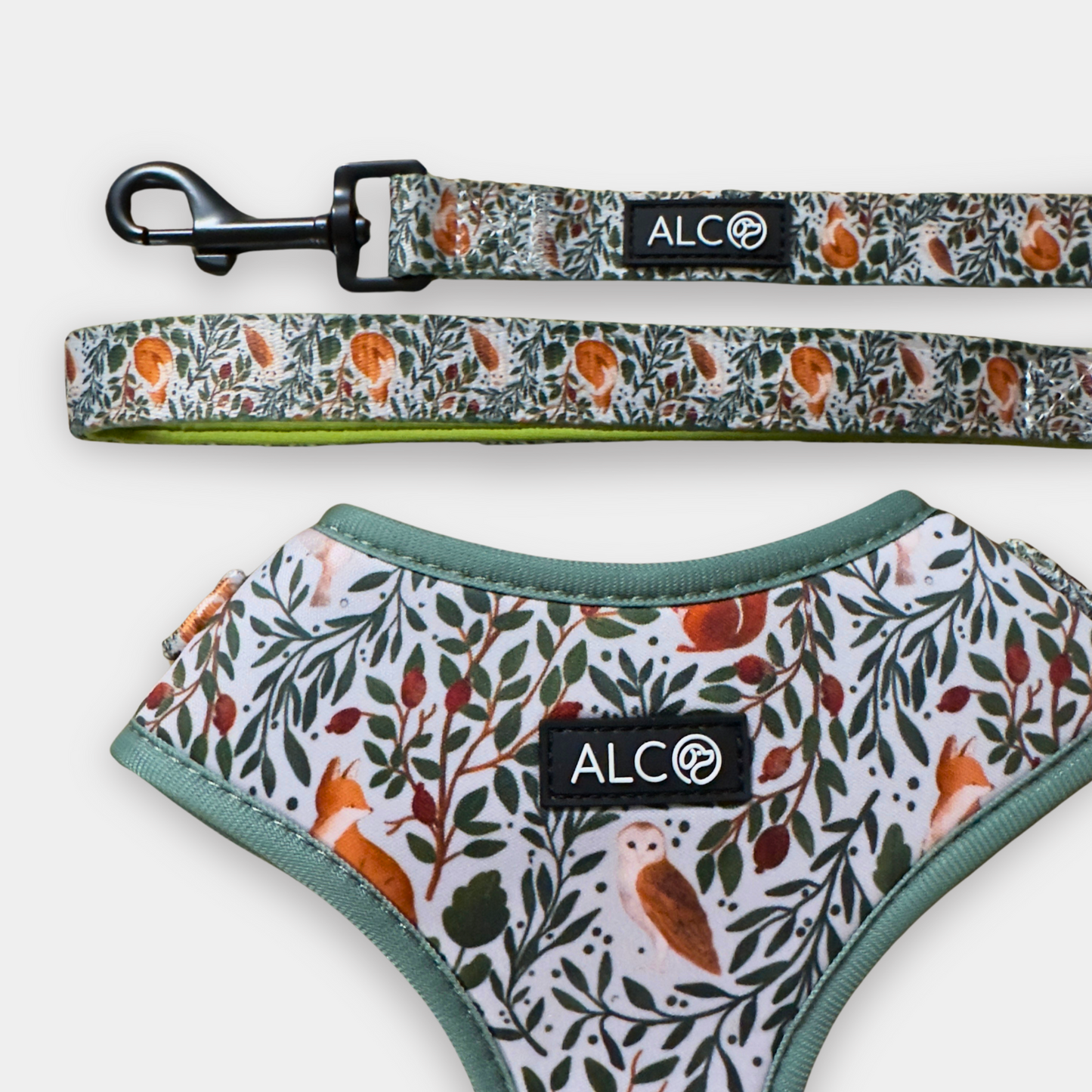 MEDIUM Alco Walkies: Harness and Leash Set