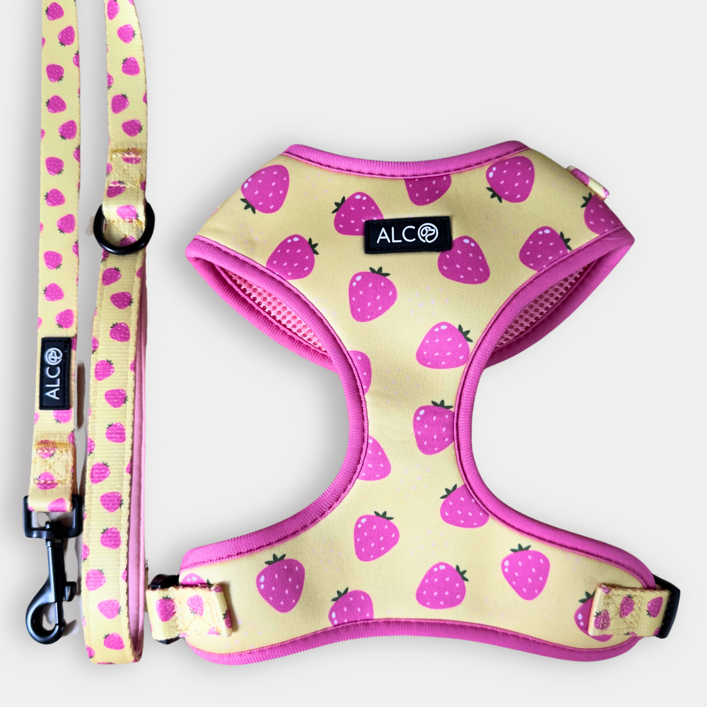 MEDIUM Alco Walkies: Harness and Leash Set