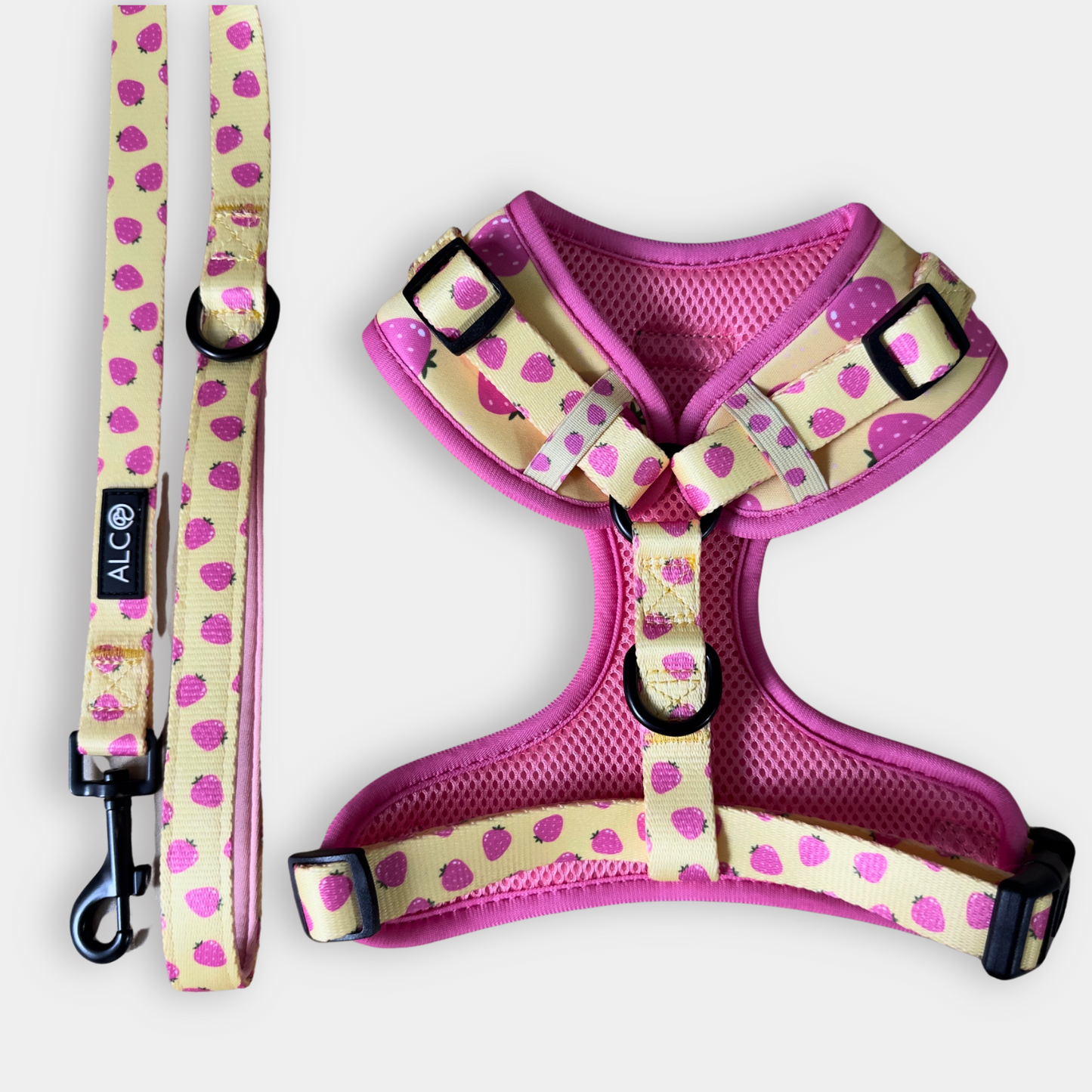 MEDIUM Alco Walkies: Harness and Leash Set