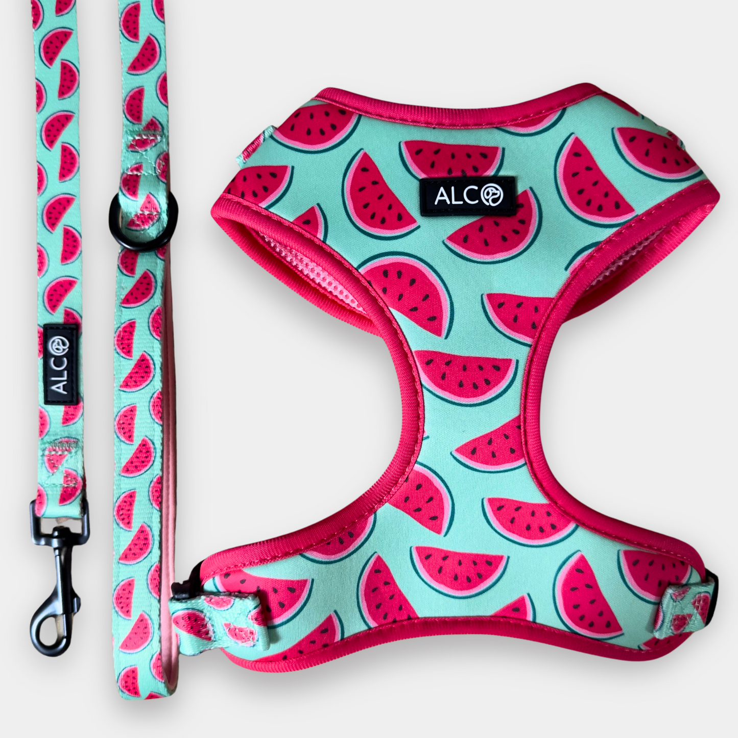 MEDIUM Alco Walkies: Harness and Leash Set