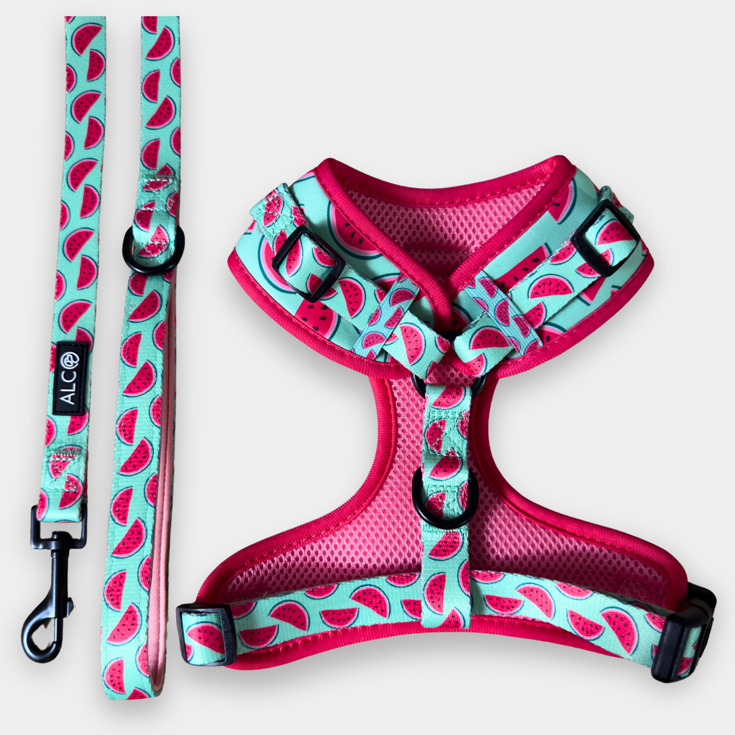 MEDIUM Alco Walkies: Harness and Leash Set