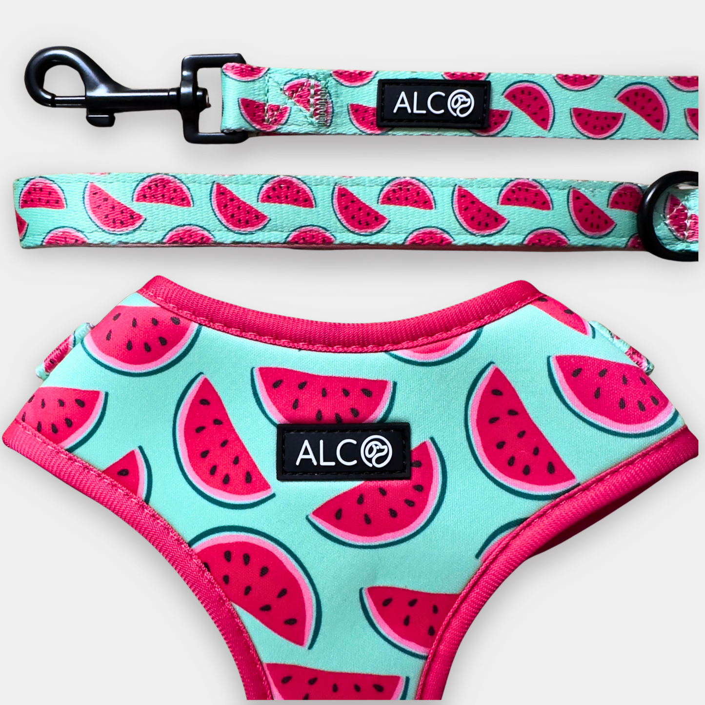 MEDIUM Alco Walkies: Harness and Leash Set