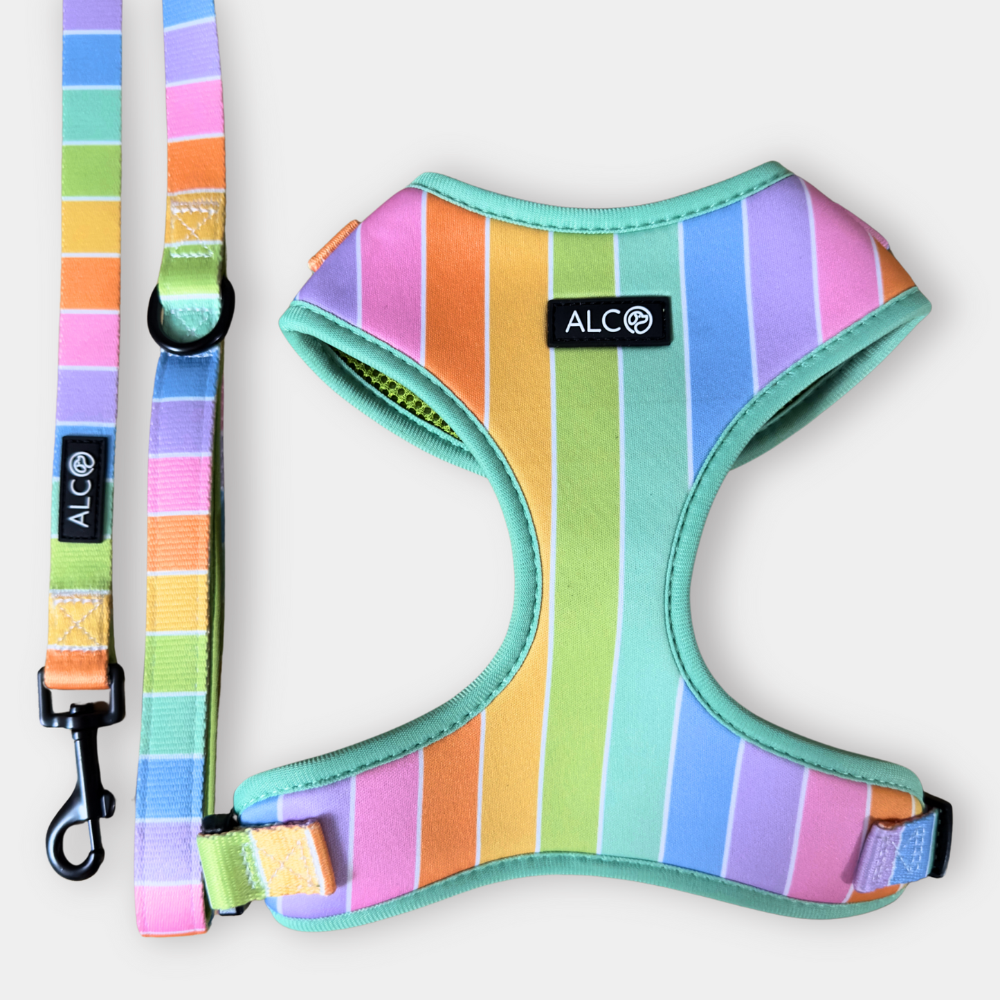MEDIUM Alco Walkies: Harness and Leash Set