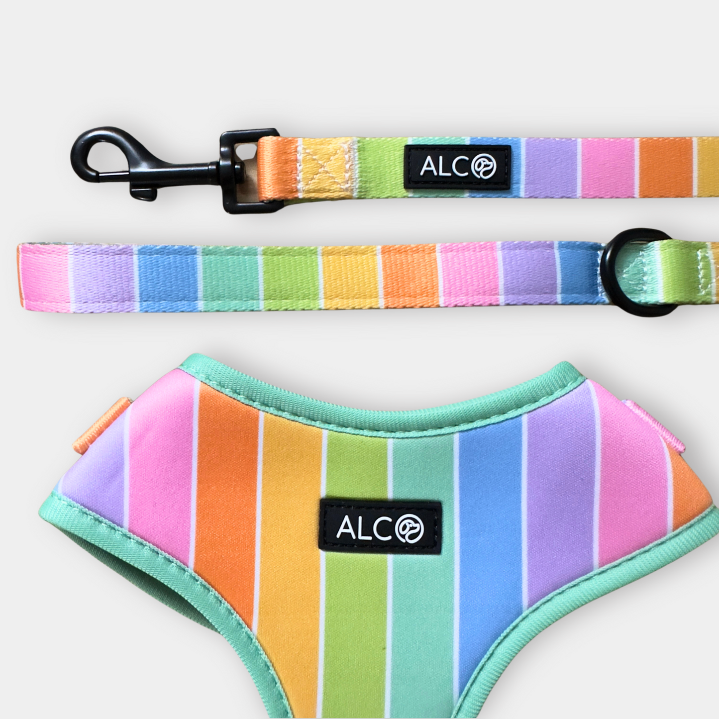 MEDIUM Alco Walkies: Harness and Leash Set