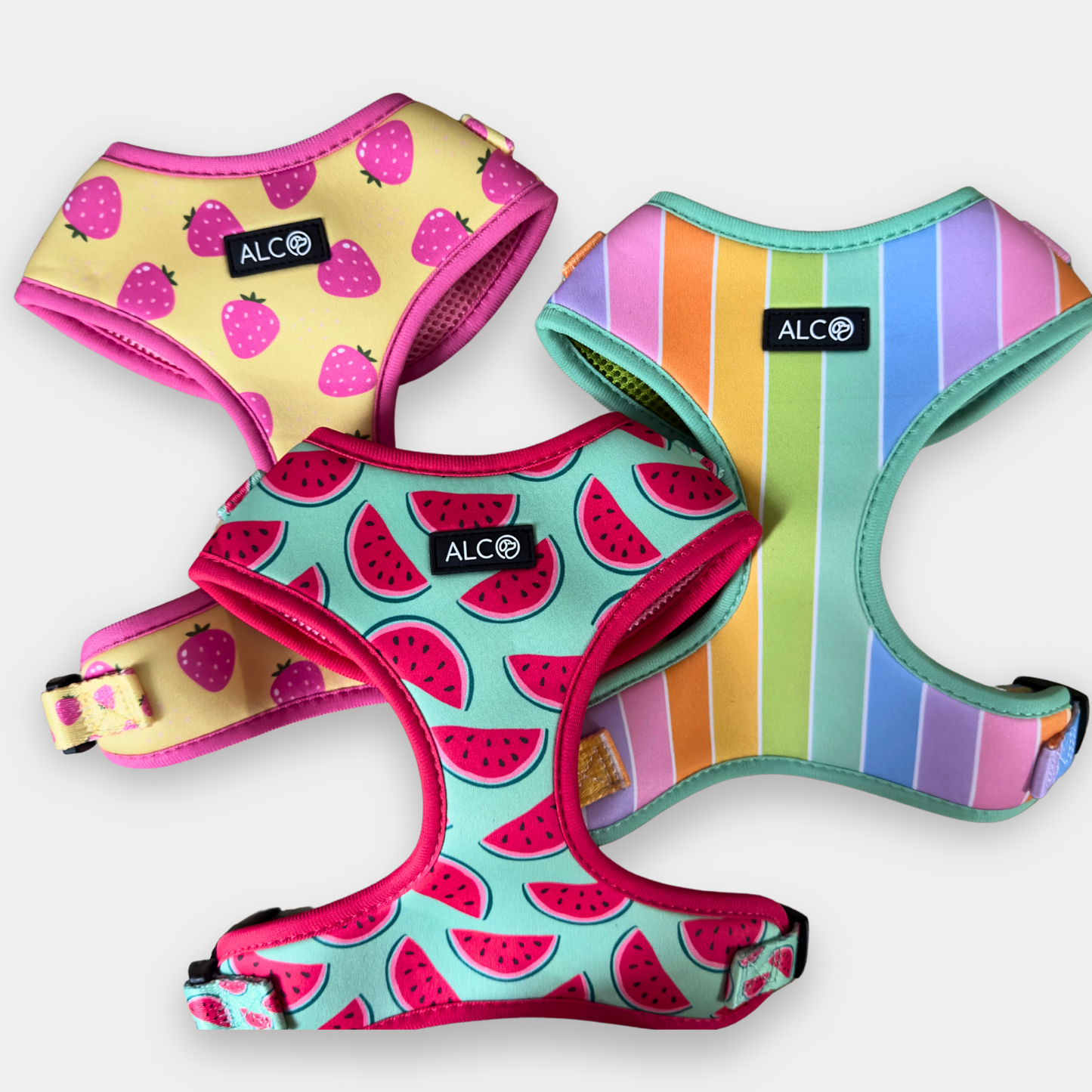 MEDIUM Alco Walkies: Harness and Leash Set