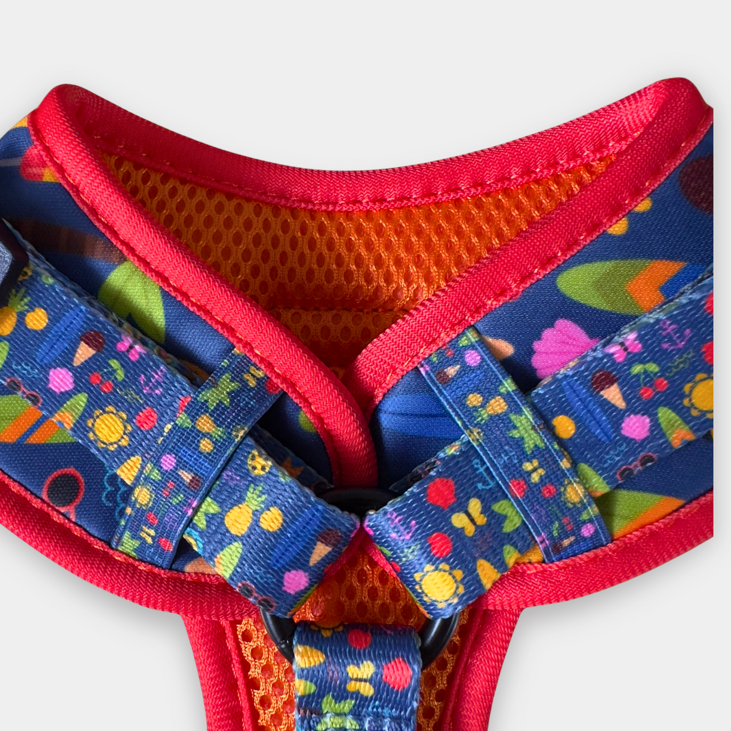 MEDIUM Alco Walkies: Harness and Leash Set