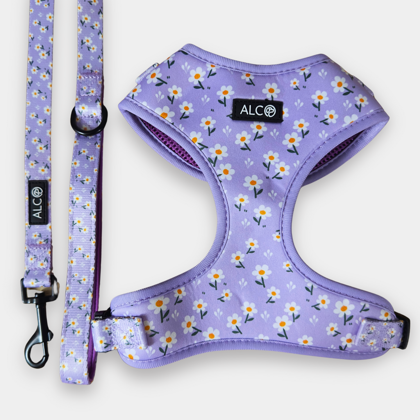 MEDIUM Alco Walkies: Harness and Leash Set