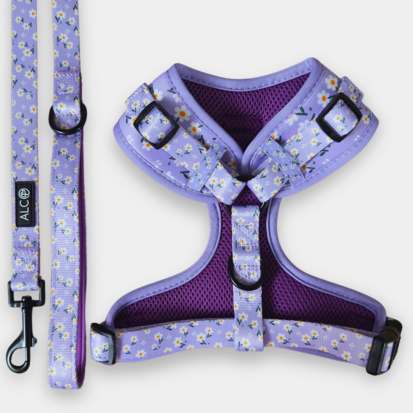 MEDIUM Alco Walkies: Harness and Leash Set