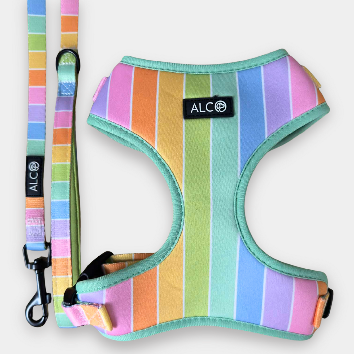 SMALL Alco Walkies: Harness and Leash Set
